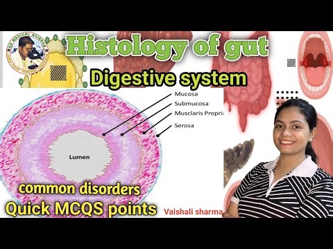 Histology of gut | Digestive system anatomy and physiology | common disorders | quick MCQS