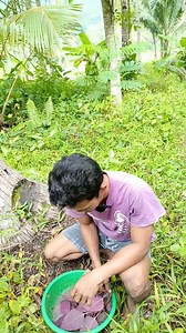 593K views · 2.9K reactions | Semoga bermanfaat bossku #tutorial #pendereskelapa #pengikut #nonpengikut #fyp | Endi Reyy | Facebook