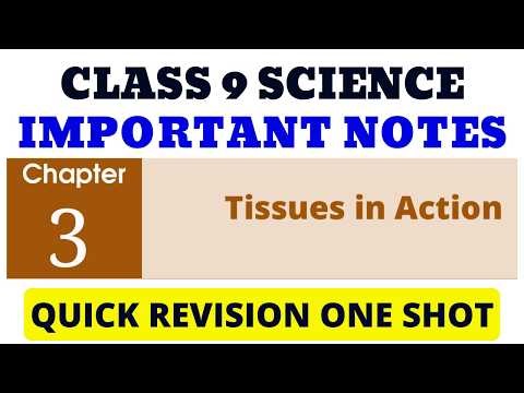 Best Notes Class 9 Tissues in Action | NCERT Science Chapter 3 Notes