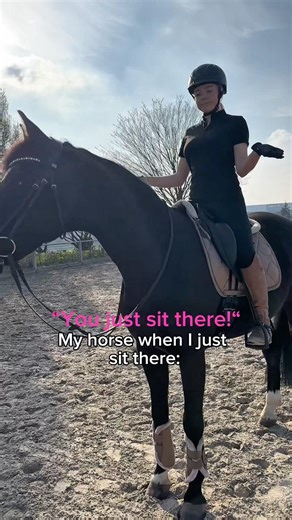 Wieso läuft das Pferd nicht alleine?🤣 #horse #equestrianjourney #equestrian