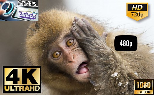 Trembit - Video streaming applications development company