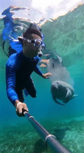 Manatee Gives Me An Underwater Hug!