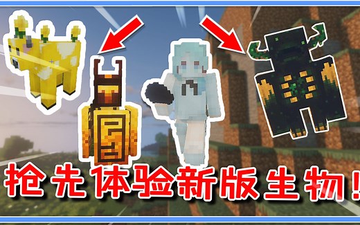 我的世界：抢先体验1.17新版？发光鱿鱼被提前做出，还有冰术师！