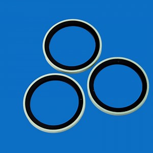 [Hot Item] Long-Life Spg Piston Combination Seal - Anti-Extrusion Design for Injection Molding Machines