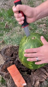 324K views · 1K reactions | ultimate camping hack!  | Powered by Perk | Facebook