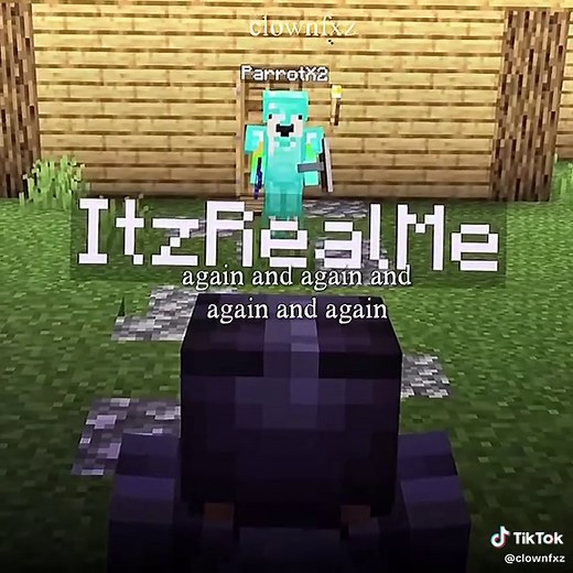 #PARROTX2 // bros always getting hunted give him a break 🙏 #parrotx2 #unstablesmp #unstableuniverse #minecraft #blowthisup #fypthis #blowup? #viral #spokeishere #mafia #ashswag #jumperwho #minecraftpvp #clownpierce