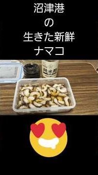 沼津港の生きた新鮮ナマコ 食べてみた(゜ロ゜)