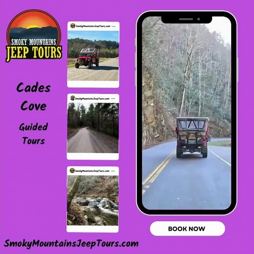 Inside the Cades Cove Loop