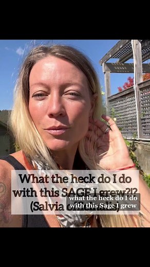 DIY Sage Tea: How to Dry and Make Sage Tea from your Garden