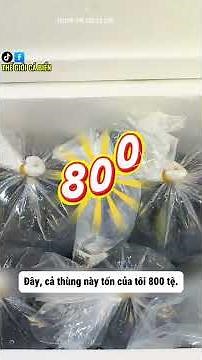 😱 Thứ tôi nuôi dưới nước bắt đầu… di chuyển!