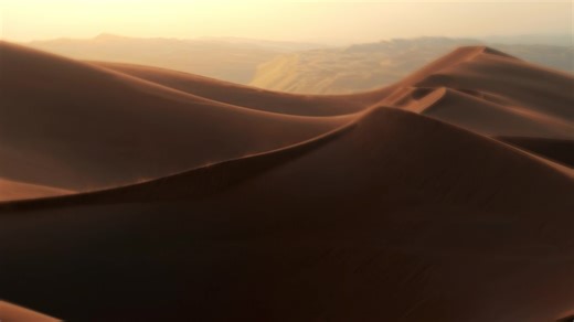 LÉGENDE URBAINE Senteur reconnaissable entre mille, AISHA, notre création emblématique depuis 2016, a su faire l'unanimité auprès des amateurs de parfums orientaux, mais aussi auprès d'un public plus large généralement peu réceptif aux fragrances fortes en caractère. Profite de -40% pour t’offrir la légende avec le code Byigor40 #lesparfumsdigor #byigor #igor #aisha #aïsha #parfum #parfumerie #parfums #fragrances #parfumeriedeniche #lifestyle #style #luxe #beauté #beauty #bienetre #cadeaux #pres