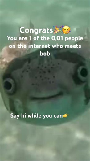 Say hi while you can