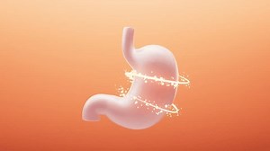 Stomach Nutrient Absorption 3d Rendering Motion Stock Footage Video (100% Royalty-free) 3667702853 | Shutterstock