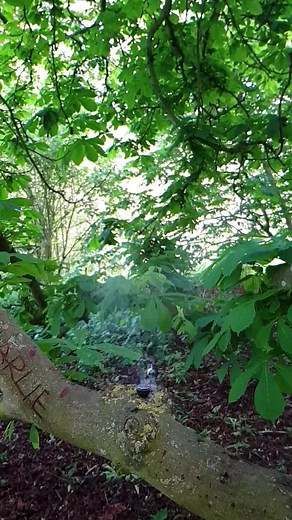 Flash Powder Explosion #flash #firework #fuse #smoke #nature #slowmo #slowed #cool #satisfying