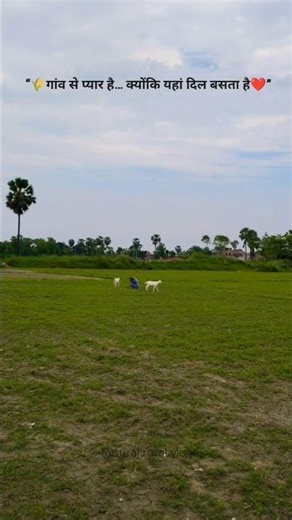 “गांव से प्यार है… क्योंकि यहां दिल बसता है ❤️🛖” #gaon #villagelife #village #nature #shorts #viral