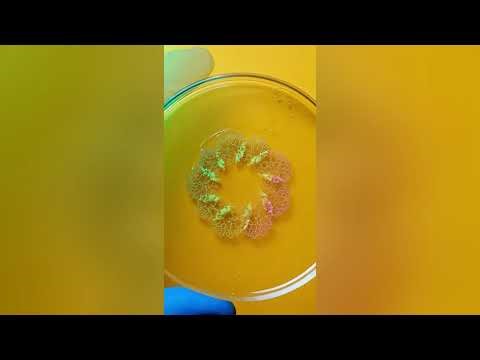 Ultimate Satisfying ASMR Compilation for Sleep & Stress Relief | 33 Oddly Satisfying Moments