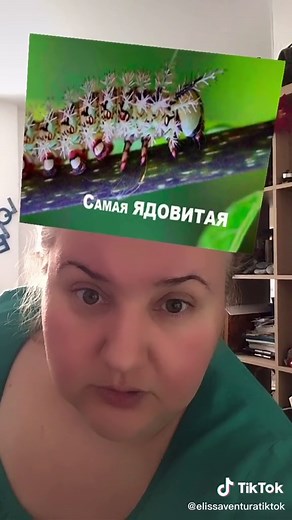 Explore Fascinating Caterpillar Types and Facts