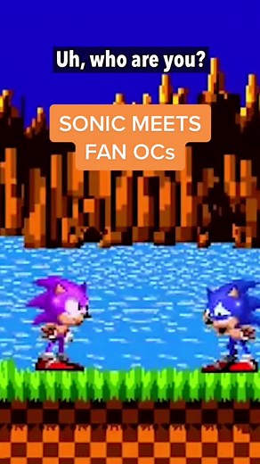 Sonic Meets Fan OCs: Hilarious Encounter with Sonic and Tails