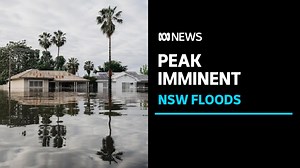 5.3K views · 222 reactions | The NSW flood emergency has claimed another life, as rising floodwaters continue to devastate communities. In Forbes, homes and businesses have already been inundated with the peak imminent. | ABC News | Facebook