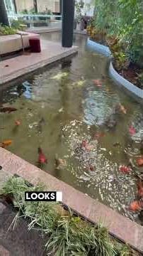 Inside the Hyatt Regency Houston West. Lobby First Impressions. Best value Hyatt in #htown #hyatt