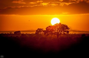 The Best Campsite Sugarloaf Campsite St Lucia 2025-26