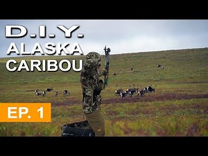 BOW HUNTING ALASKA | Barren Ground Caribou EP. 1