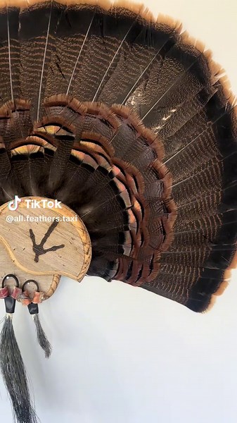 Turkey Feather Art Display: Creating a Stunning Mount