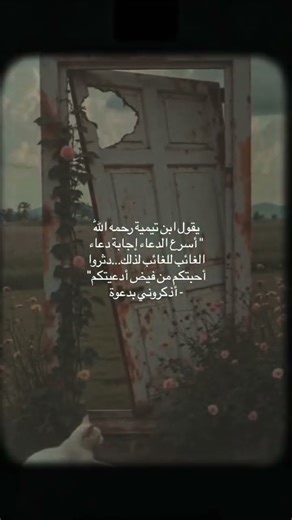 ٣١ أكتوبر ٢٠٢٥