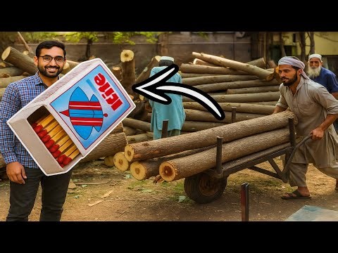 Inside the Factory: How Matchsticks Are Mass Produced