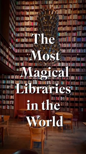 Exploring the Best Libraries Worldwide | Wine Library in Zürich, Switzerland 🍷📖📚