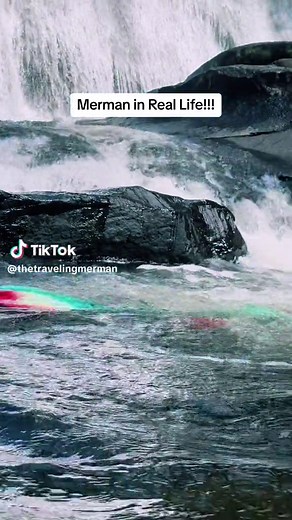 Merman swimming below waterfalls. The US has so many amazing National Parks, if you have the chance check them out 👌🏼🧜🏽‍♂️🌊✨ Nunca sabes cuándo te puedes encontrar con un Sireno!! 🧜🏽‍♂️🌊✨ me encanta recorrer los Parques Nacionales qué hay en USA #thetravelingmerman #reallifemerman #mermancaughtoncamera #mermanswimmingaround #mermanwaterfalls #sireno #aguasdesirena #cascadasdesirena #magiadesirenas