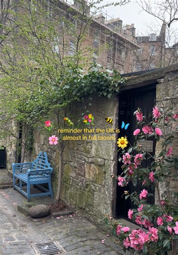 best time of the year💐 #england #scotland #travel #traveltok #spring
