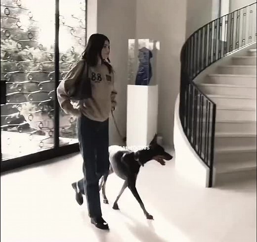 Kendall Jenner With Her Beloved Dog - A Heartwarming Connection