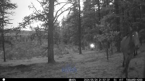 Citizen Science: that is what we call this kind of documentation and awareness to the general public. | Help Alberta Wildies Society