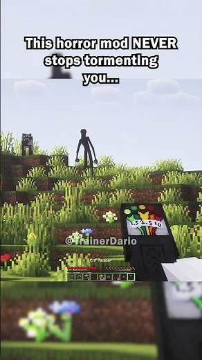 This mod NEVER stops following...