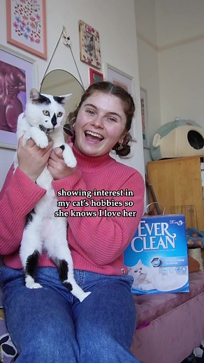 Ever Clean: The Best Litter for Your Feline Friends!