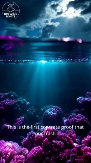 Scientists Found Plastic, 2 Kilometers Under the Ocean 🌊
