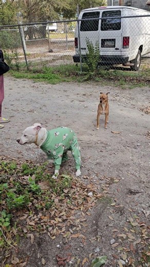 Meg doing her crazy spinny whirly move! 🤣