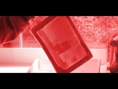 Photography: Salted Paper Print Process