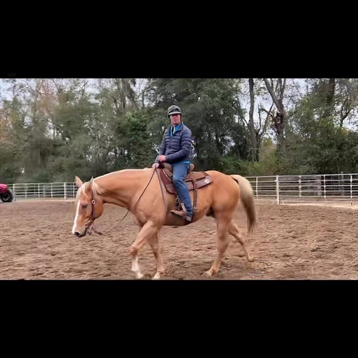 6.3K views · 227 reactions | Broncy colt start, and some tips and tricks | Carson James | Facebook