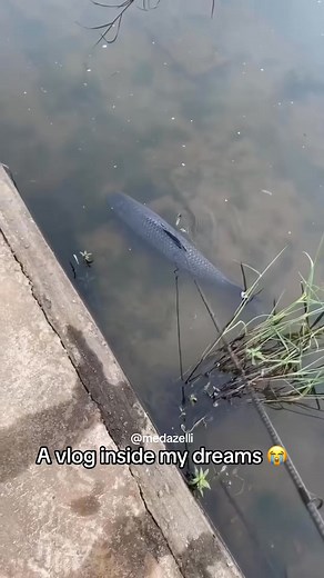 Normal day in my life 💔😪 daily vlog part 32 | Medazelli Automatic