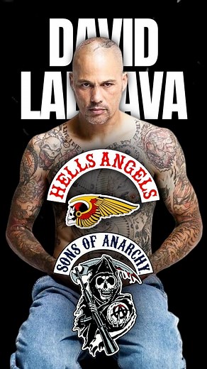 Who Was a REAL Hells Angel in Sons of Anarchy? 🏍️🔥 David Labrava aka Happy EXPOSED!David Labrava wasn’t just playing a savage enforcer on Sons of Anarchy… he was one in real life. A patched Hells Angel out of Oakland, he brought raw authenticity to the role of Happy Lowman. He didn’t just act — he lived that outlaw life. And he even wrote an episode of the show. Now that’s different.Voice of @sosetheghost_#hellsangels #soa #1%ers #1%er #1% #sonsofanarchy #davidlabrava #happylowman #realhellsan