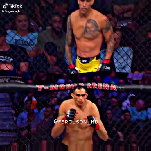 MMA Competition Highlights: Striking, Grappling, Celebration