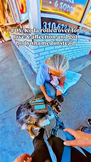 The audacity when he rolled over for love😭 #dog #dogshorts #dogs #funnydog #funny #funnyvideo