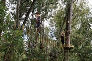 Outdoor Activity Park in Pretoria North | Treetop Adventures
