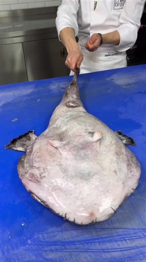 Dünyanın en çirkin ama en lezzetli balığının ismi ne?