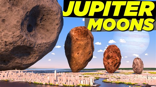 All of Jupiter's many moons.