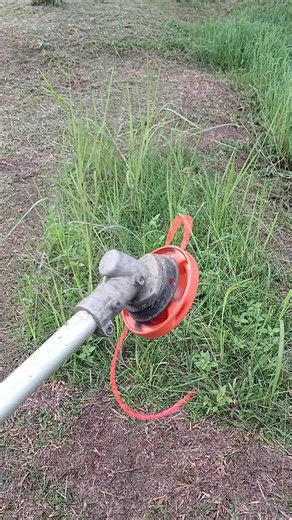 Best Trimmer Line for Cutting Grass