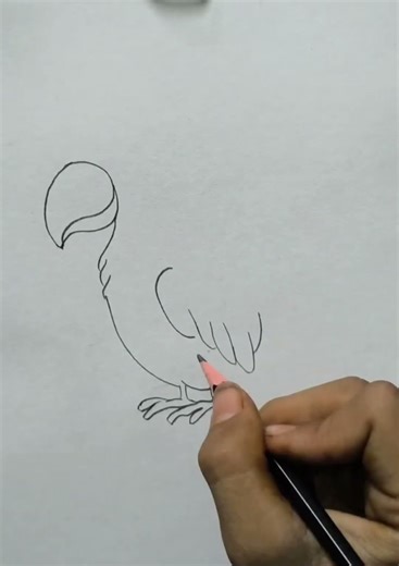 Easy Parrot Drawing Step by Step 🦜 | Beginner Friendly Sketch Tutorial #drawing #art #parrotdrawing