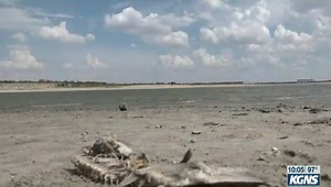 Falcon Lake running low on water